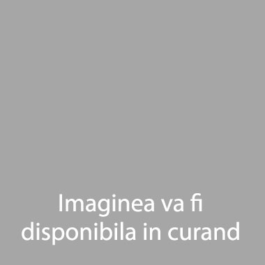 Bruschete cu ciuperci (200g)